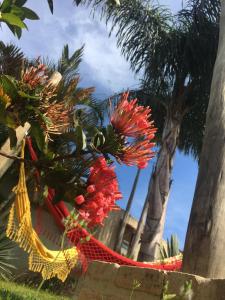 a bunch of flowers on a hammock next to a palm tree at Pousada Luz do Sol in Carrancas