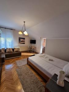 TV a/nebo společenská místnost v ubytování Vila Katarina