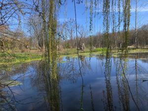 uma vista para um lago num parque em La Barcelle, une pause nature. em Perrigny