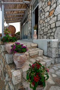 Fotografia z galérie ubytovania CHRYSANTHI'S STONE HOUSE v destinácii Afantou
