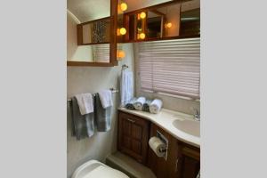 a small bathroom with a toilet and a sink at Beautiful Airstream, Beaufort SC-Enjoy the Journey in Beaufort