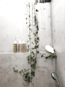 a plant in a bathroom with a shelf with bottles at Aretousa Deluxe Downtown Apartment in Skala