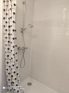 a shower in a bathroom with a shower curtain at Le studio 22 in Bréhand