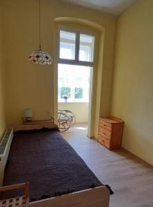 a bedroom with a large bed and a window at Apartament Kasztanowy in Gliwice