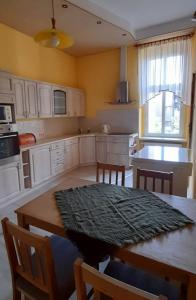 A kitchen or kitchenette at Apartament Kasztanowy