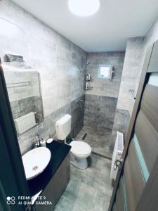 a bathroom with a white toilet and a sink at Garsonieră Daniela in Târgu Ocna