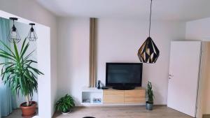 sala de estar con TV en un soporte de madera en Apartman Lena en Tuzla