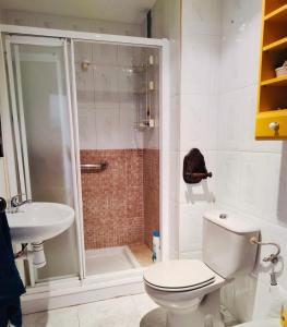 łazienka z prysznicem, toaletą i umywalką w obiekcie Apartamento Bahía Jardín w mieście La Herradura