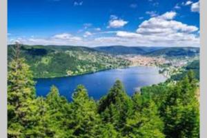 Blick auf einen See inmitten eines Waldes in der Unterkunft Superbe appartement, hypercentre au calme avec bain balnéo in Gérardmer