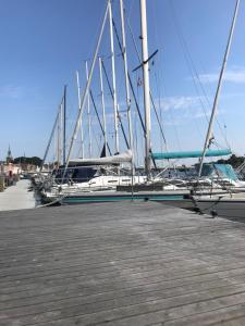 un grupo de veleros están atracados en un muelle en Schwedenvilla Estelle, en Dörphof