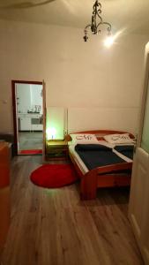 1 dormitorio con cama, espejo y alfombra roja en Szelíd Tisza Vályog Vendégház Tiszafüred en Tiszafüred