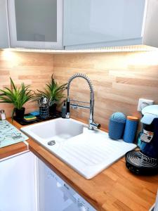 a kitchen counter with a sink in a kitchen at appartement vue mer pour 4 personnes accès direct plage wifi haut débit gratuit in Le Barcarès