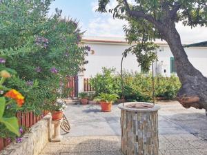 a garden with a tree and some plants at Case Vacanza Raffaela Disanti in Vieste