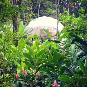 a umbrella sitting in the middle of a lush green field at Faith Glamping Dome Costa Rica in Manzanillo