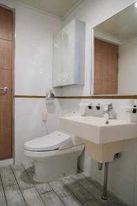 a bathroom with a toilet and a sink and a mirror at Jungmun Haesung Parktel in Seogwipo