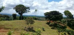 ein Feld mit Bäumen auf einem Hügel in der Unterkunft Valles of Osa in Palmar Sur