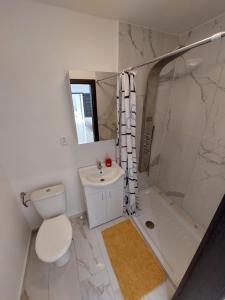 a bathroom with a toilet, tub, sink and shower at Vehlovice Apartments in Mělník