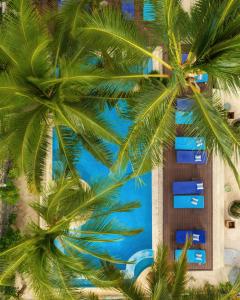 an aerial view of a resort with palm trees at Casa Paradis in Jambiani