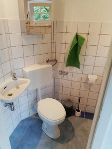 uma pequena casa de banho com WC e lavatório em Ferienhaus Zur alten Korbmacherei em Freyburg