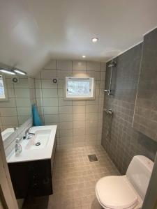 ein Bad mit einem Waschbecken, einem WC und einer Dusche in der Unterkunft Sokndal - Cozy vacation home in peaceful surroundings in Ålgård