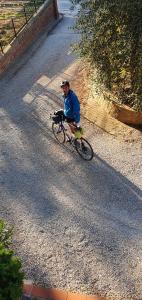 a man riding a bike down a road at Orto degli Ulivi in Sinalunga