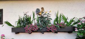 two flower boxes with plants and a butterfly on a wall at Villa Monceau Louvain la neuve in Louvain-la-Neuve