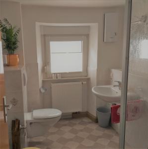 a bathroom with a toilet and a sink at Haus Engelskrug in Senheim