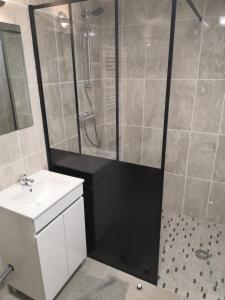 a bathroom with a shower and a toilet and a sink at Studio Bellevue in Égletons