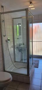 a bathroom with a shower with a toilet and a sink at Outletcity Ferienwohnung Wohnung 2 in Metzingen