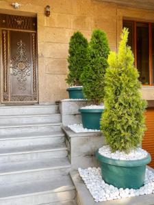 um grupo de vasos de árvores em frente a um edifício em Shirbakyan Boutique Hotel & Apartments em Yerevan