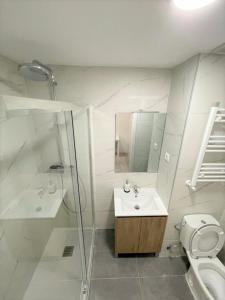 La salle de bains est pourvue d'une douche, d'un lavabo et de toilettes. dans l'établissement HOSPEDAJE LA PAZ, à Madrid