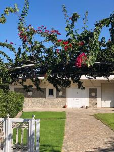 a house with pink flowers hanging over a driveway at Villa Amalaya in Flampouria