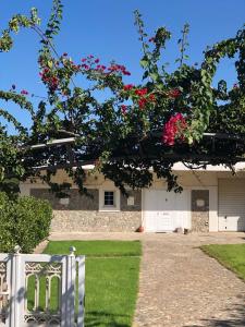 Gallery image of Villa Amalaya in Flampouria