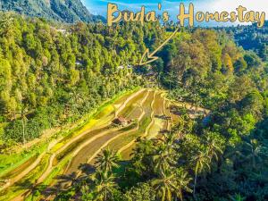 an aerial view of a road in a forest at Buda's Homestay Lemukih in Buleleng