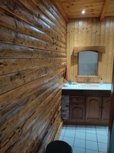 a bathroom with a wooden wall with a sink and a mirror at Maison Gîte Nanie in Arbois