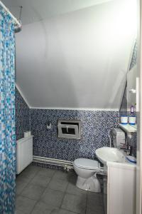 a bathroom with a toilet and a sink at Casa Cupcea in Budeşti