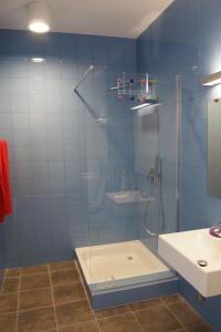 a bathroom with a glass shower and a sink at Apartamenty Poli House in Krynica Morska