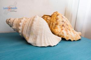 Zdjęcie z galerii obiektu Vivienda Vacacional Timanfaya w Puerto del Carmen