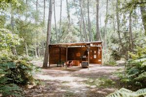 una cabaña de madera en medio de un bosque en Tiny Stay - Ecolodge en Clefs-Val d'Anjou