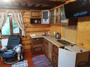a kitchen in a log cabin with a sink and a stove at ГІРСЬКА ХАТА in Semichov
