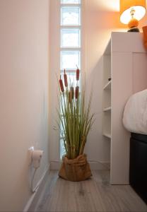 una planta en una olla en una habitación con ventana en Foz - West Shore Retreat, en Caldas da Rainha 31 fotos más