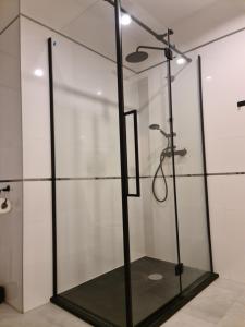 Kúpeľňa v ubytovaní Apartament Limanowa Rynek + 10 fotografií