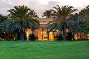a large palm tree in the middle of a lush green field at Romano Palace Luxury Hotel in Catania