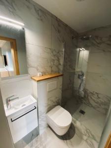 a bathroom with a toilet and a sink and a shower at CHALET CONFIDENTIEL VALMOREL - Chalet de Haut de Gamme 4 étoiles 12 personnes in Doucy