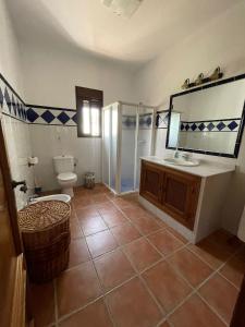 a bathroom with a toilet and a sink and a mirror at Casa Manolín in Córdoba