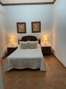 een slaapkamer met een groot bed met twee lampen aan beide zijden bij Casa Manolín in Córdoba