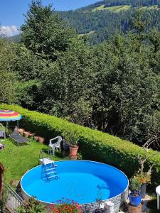 Bazén v ubytování Haus AlpenHahn nebo v jeho okolí + 37 fotografií