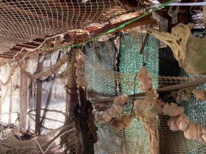 a net with a bunch of shells on it at Holiday home Stiniva in Vis