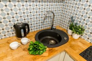 a kitchen counter with a sink and some plants at Poznanska Serviced Apartments in Warsaw +24 photos