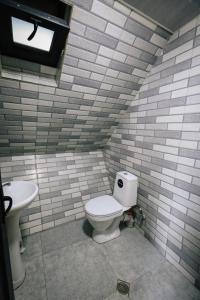 a bathroom with a toilet and a sink at Wooden cottage "green house" in Bakuriani in Bakuriani